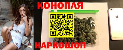 сатива Малгобек