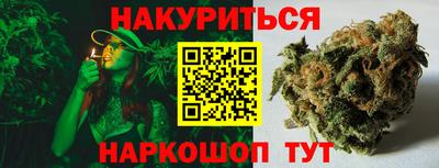 сатива Малгобек