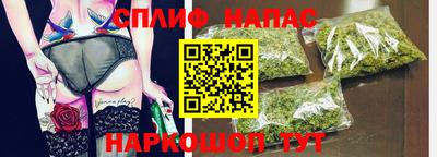 сатива Малгобек