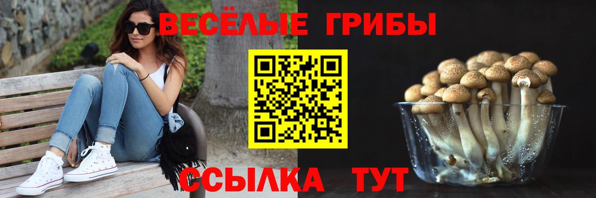 Галлюциногенные грибы мицелий Сызрань